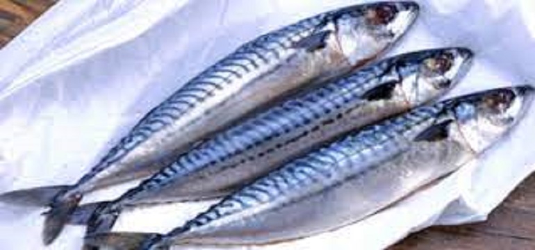 8 Ikan Yang Tidak Boleh Dimakan Meski Rasanya Enak, Apa Itu?