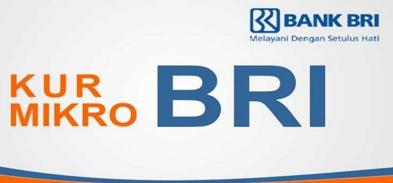 Pinjaman KUR BRI 2022, Segera Daftar dan Cairkan Rp50 Juta, Ini Jumlah Cicilan Termurah