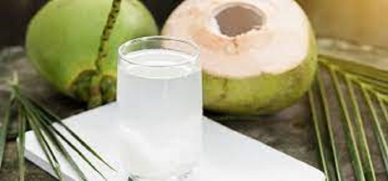 Air Kelapa Muda dan Kesehatan Tubuh
