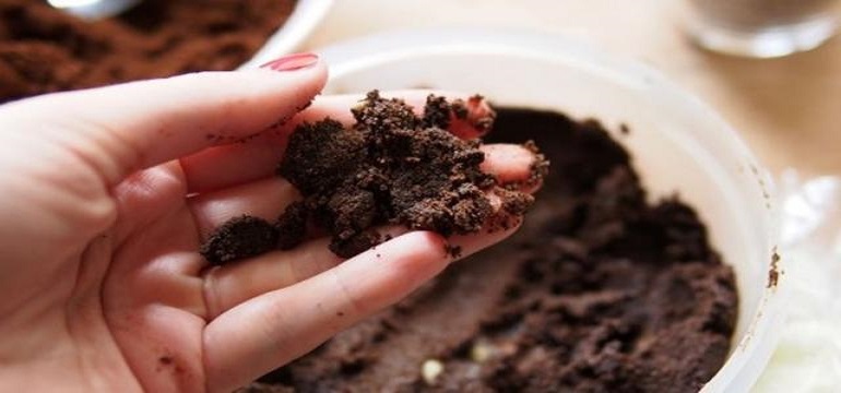 Jangan Buang Ampas Kopi, Ternyata Ini Loh Manfaatnya