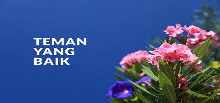 Hikmah Pagi : 5 Kriteria Teman Baik Menurut islam