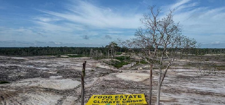Proyek Food Estate Hasilnya Zonk Malah Berdampak Negatif Terhadap Lingkungan