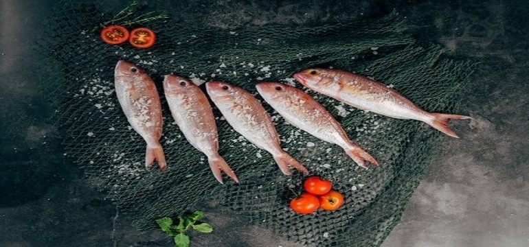 10 Jenis Ikan Ini Sebaiknya Tidak Dimakan Sembarangan Karena Dapat Merusak Otak Dan Saraf